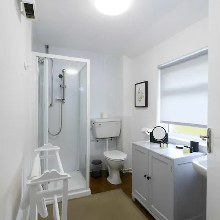 Waterwitch Cottage New Quay Esterno foto