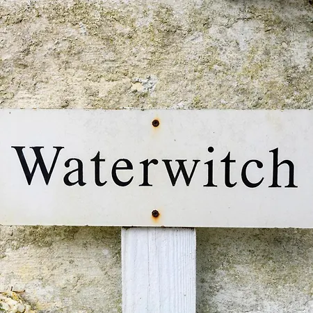 Waterwitch Cottage New Quay Esterno foto